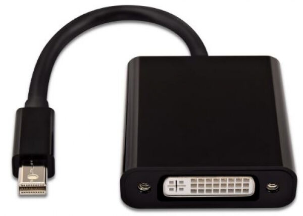 V7 CBL-MD1BLK-5E - Mini Displayport zu DVI Adapter