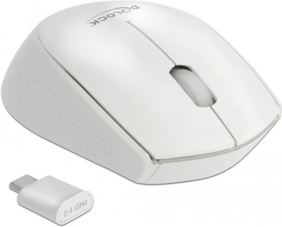 DeLock 12668 - Optische 3-Tasten Mini Maus USB Type-C 2,4 GHz kabellos