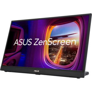 17.3 Zoll Asus ZenScreen MB17AHG