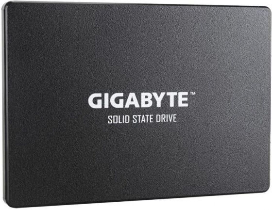 Gigabyte ssD (GP-GSTFS31120GNTD) - 2.5 Zoll SATA3 - 120GB