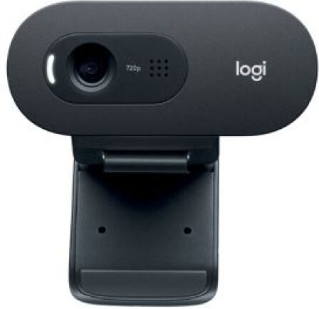 Logitech C505E - HD-Webcam