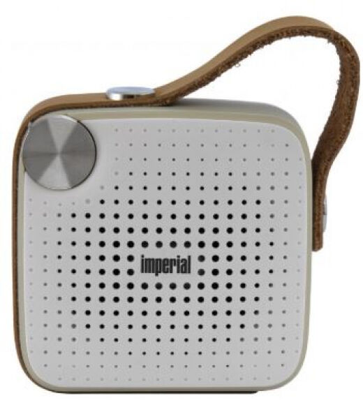 Imperial BAS 4 - Kompakter Bluetooth Lautsprecher mit integriertem UKW Radio und TF Kartenleser
