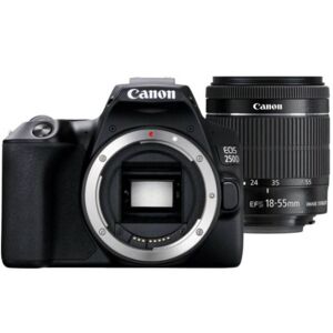 Canon EOS 250D Kit - EF-S 18-55mm IS STM