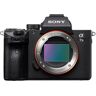 Sony Alpha 7 Mark III Body