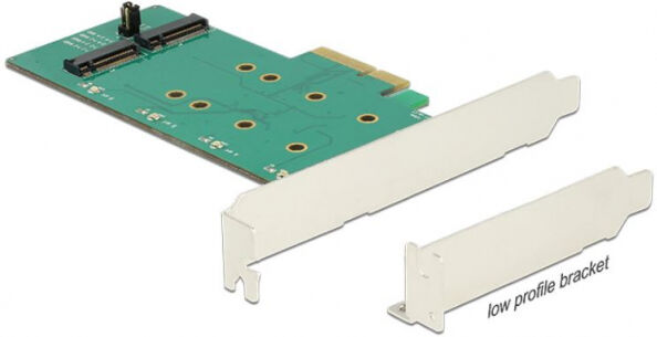 DeLock 89536 - PCI Express Karte > 2 x intern M.2 Key B mit RAID - Low Profile Form Faktor