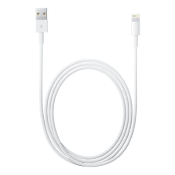 Apple - Lightning to USB cable (0.5 m)