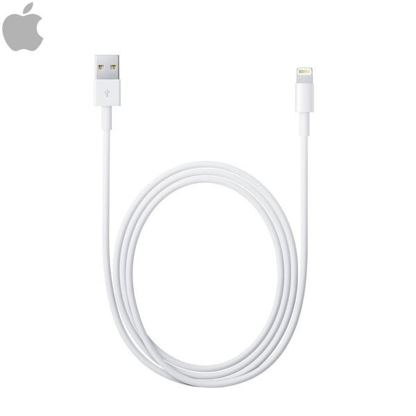 Apple - Lightning to USB cable (1m)