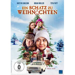 Divers Ein Schatz zu Weihnachten (DE) - DVD