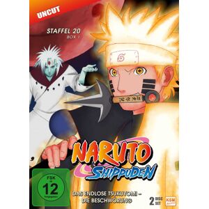 Divers Naruto Shippuden - Das endlose Tsukuyomi - Die Beschwörung - Staffel 20.1: Episode 634-641 (2 DVDs) - DVD