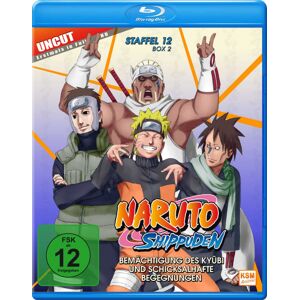 Divers Naruto Shippuden - Bemächtigung des Kyubi und schicksalhafte Begegnungen - Staffel 12, Box 2,:Folge - Blu-ray