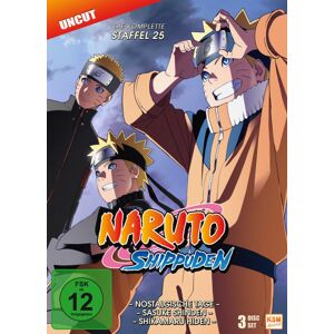 Divers Naruto Shippuden - Nostalgische Tage + Sasuke Shinden + Shikamaru Hiden - Staffel 25: Episode 700-71 - DVD