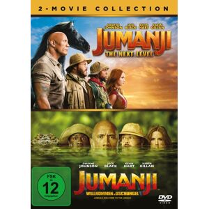 Sony Pictures Entertainment (PLAION PICTURES) - Jumanji: The Next Level / Jumanji: Willkommen im Dschungel (2 DVDs) (DE)