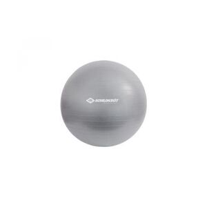 SCHILDKRÖT FITNESS Gymnastikball anthrazit 55cm - 2er Set