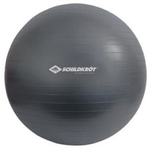 SCHILDKRÖT FITNESS Gymnastikball anthrazit 75cm - 2er Set