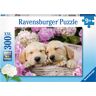 RAVENSBURGER Puzzle Hunde im Körbchen - 2er Set