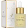 Rituals The Ritual of Namaste Bakuchiol Natural Booster Anti-Aging Gesichtsserum 20 ml