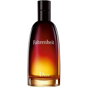 Christian Dior Fahrenheit Eau de Toilette 100 ml Herren