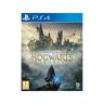 Warner Bros - Hogwarts Legacy [Ps4] (D/f), (Ps4),