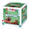 Brain Box Animali, Italienisch Multicolor