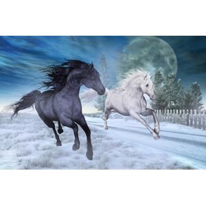 Papermoon Fototapete »PFERDE-NATUR MOND TIERE PONY BÄUME PFERD WANDBILD DEKO« bunt  B/L: 3,50 m x 2,60 m