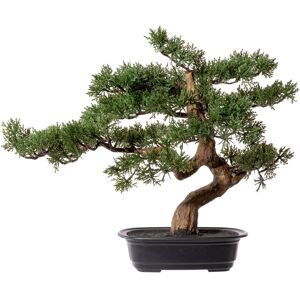 Creativ green Kunstbonsai »Bonsai Zeder« grün