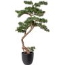 Creativ green Kunstbonsai »Bonsai Zeder« grün