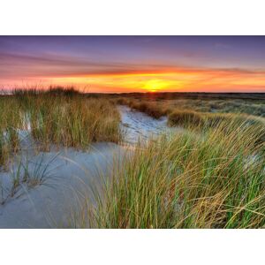 Papermoon Fototapete »Dunes Sunset« mehrfarbig  B/L: 5 m x 2,8 m