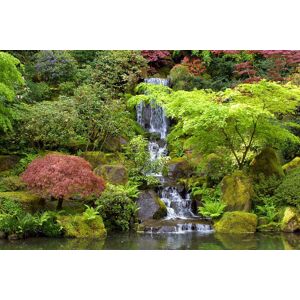 Papermoon Fototapete »Kleiner Wasserfall in Garten« bunt  B/L: 4,50 m x 2,80 m