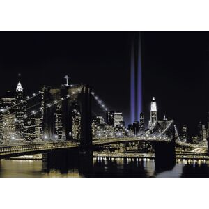 Papermoon Fototapete »New York by night« mehrfarbig  B/L: 4 m x 2,6 m