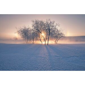 Papermoon Fototapete »Photo-Art BINGO Z, SCHNEELANDSCHAFT IM WINTER« bunt  B/L: 3,50 m x 2,60 m