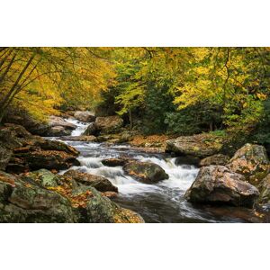 Papermoon Fototapete »Wald Landschaft« bunt  B/L: 3,00 m x 2,23 m