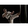 Papermoon Fototapete »Karate« bunt  B/L: 4,50 m x 2,80 m