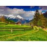 Papermoon Fototapete »Schweizer Alpenlandschaft« bunt  B/L: 4,00 m x 2,60 m