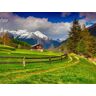 Papermoon Fototapete »Schweizer Alpenlandschaft« bunt  B/L: 2,50 m x 1,86 m