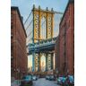 Komar Vliestapete »Brooklyn« bunt  B/L: 184 m x 248 m