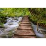 Papermoon Fototapete »Waldbrücke über Fluss« bunt  B/L: 2,50 m x 1,86 m