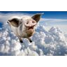 Papermoon Fototapete »Fliegendes Schwein«, Vliestapete, hochwertiger... bunt  B/L: 3,00 m x 2,23 m