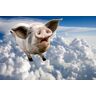 Papermoon Fototapete »Fliegende Schweine« bunt  B/L: 2,5 m x 1,9 m