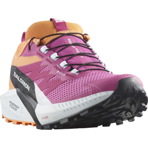 Salomon Trailrunningschuh »SENSE RIDE 5 GORE-TEX« pink-orange  41