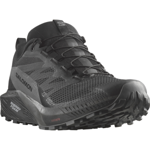 Salomon Trailrunningschuh »SENSE RIDE 5 GORE-TEX®« schwarz-grau  42