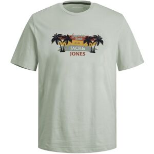 Jack & Jones Junior Kurzarmshirt »JJSUMMER VIBE TEE SS CREW NECK JNR« desert sage  140