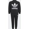 Adidas Originals Trainingsanzug »ADICOLOR SET«, (2 tlg.) Black / White  116