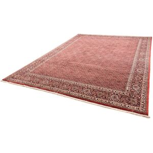 morgenland Orientteppich »Perser - Bidjar - 343 x 251 cm - hellrot«, rechteckig Hellrot  B/L: 251 cm x 343 cm