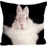 queence Dekokissen »Hugging Bunny« schwarz/weiss + bedruckt  B/L: 40 cm x 40 cm