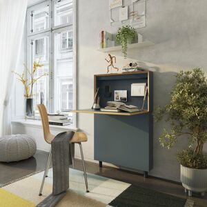 Müller SMALL LIVING Wandsekretär »FLATMATE« smokey blue