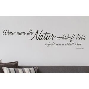 queence Wandtattoo »Wenn man die Natur…« dunkelgrau