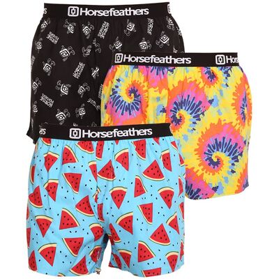 3PACK pánské trenky Horsefeathers Frazier Bundle 3 (AM096E) S 3PACK pánské trenky Horsefeathers Frazier Bundle 3 (AM096E) S