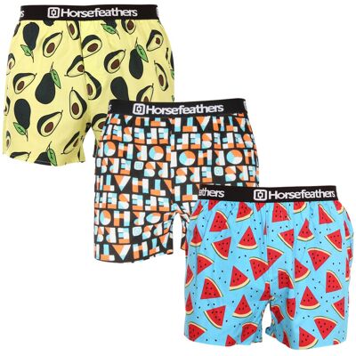 3PACK pánské trenky Horsefeathers Frazier vícebarevné (AM166H34ZW) XXL 3PACK pánské trenky Horsefeathers Frazier vícebarevné (AM166H34ZW) XXL