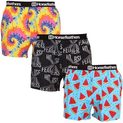 3PACK pánské trenky Horsefeathers Frazier vícebarevné (AM166BD34U) XXL 3PACK pánské trenky Horsefeathers Frazier vícebarevné (AM166BD34U) XXL