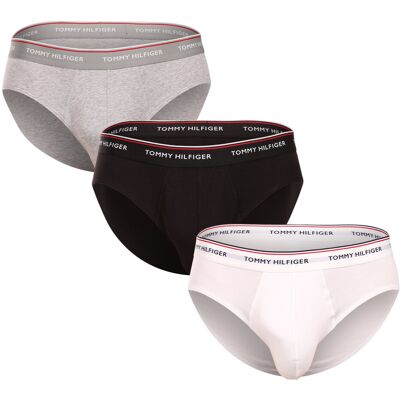 3PACK pánské slipy Tommy Hilfiger vícebarevné (1U87903766 004) L 3PACK pánské slipy Tommy Hilfiger vícebarevné (1U87903766 004) L